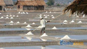 Petani Garam Belum Minati Teknologi Geomembran