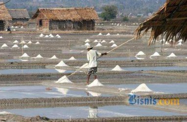 Petani Garam Belum Minati Teknologi Geomembran