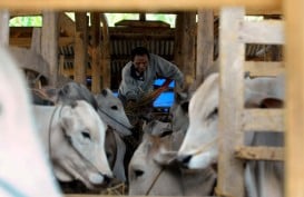 Indonesia-Kanada Sepakat Tingkatkan Kerjasama Pertanian