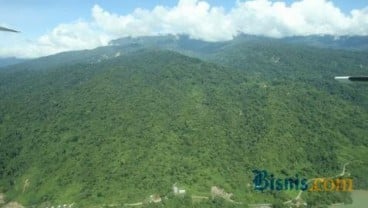 KONVERSI LAHAN: Pelalawan Minta Pembebasan 72.000 Hektare Kawasan Hutan