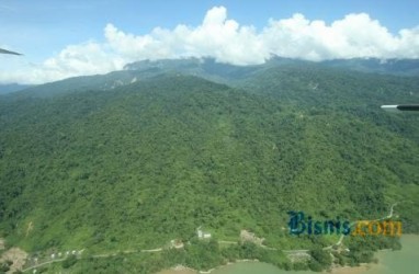 KONVERSI LAHAN: Pelalawan Minta Pembebasan 72.000 Hektare Kawasan Hutan