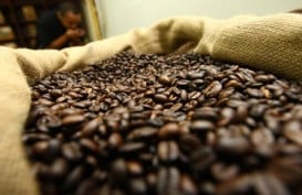 HARGA KOPI ROBUSTA (22 September 2014): Awal Perdagangan Melemah 0,21%