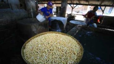 PEMKOT BALIKPAPAN: Pengerajin Tahu Tempe Direlokasi