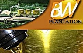 OJK Cermati Rencana Rights Issue BW Plantatios