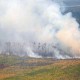 Kebakaran Lahan: 2.000 Hektare Lahan HTI di Sumsel Dilalap Api