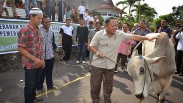 Pemprov Sulut Serahkan 31 Hewan Kurban ke Sejumlah Masjid