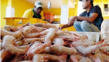 EKSPOR UDANG: Indonesia Masih Pimpin Pasar di Asean