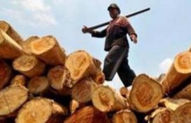 Eskpor Kalbar: Kayu dan Karet Beri Sumbangan Terbesar