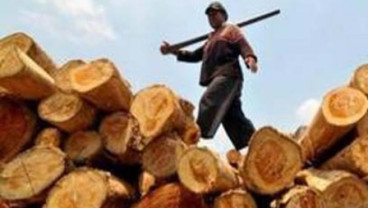 Eskpor Kalbar: Kayu dan Karet Beri Sumbangan Terbesar