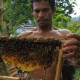 KAMPUNG CINGAGOLER: Pembudidaya Lebah Madu Akan Pameran di Italia