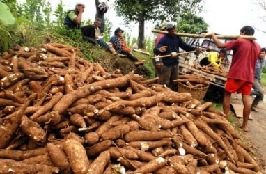 Pengembangan Agroindustri Pedesaan Hadapi Keterbatasan