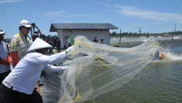 Petambak Benih Ikan di Kabupaten Bandung Susut