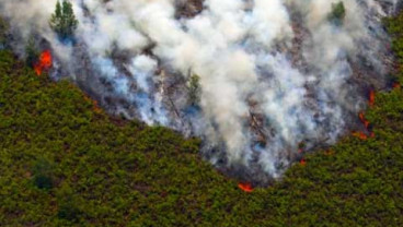 KEBAKARAN HUTAN: Ditemukan 151 Hotspot di Kabupaten Paser