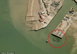 Benarkah Ini Gambar Kepiting Raksasa yang Tertangkap Kamera?