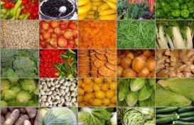 BUONGIORNO, Italian Trade Agency Adakan Seminar Makanan Organik