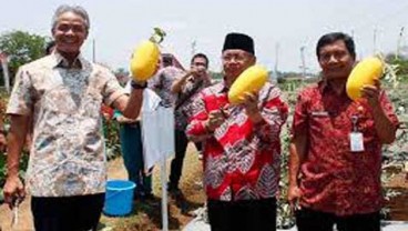 MEA 2015: Produk Makanan Olahan Wonosobo Siap Bersaing
