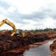 PP GAMBUT: 320.000 Pekerja Hutan Tanaman Industri Terancam PHK