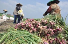 Pemkab Badung Serahkan 40 Mesin Pencacah Pandan ke Pelaku UKM