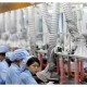 MANUFAKTUR CHINA: Di atas Perkiraan, IPM China ke 50,4