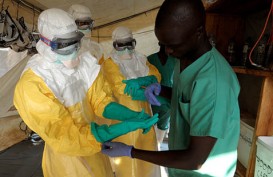 Virus Ebola Merebak, AS Panik