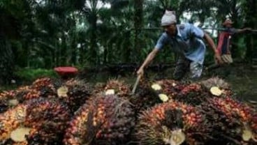 HARGA CPO 27 Oktober: Di Awal Perdagangan Terkoreksi 0,41%