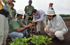 Apindo Riau Ikut Menedesak Agar PP Gambut Direvisi