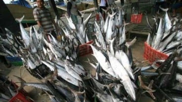 PASAR IKAN: Muara Angke Ditarget Terbesar di Asean