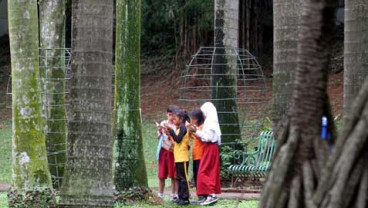 Semarang Prioritaskan Bangun Taman Kota