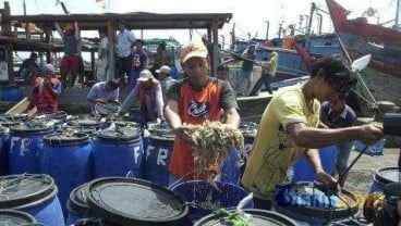 Pasar Ikan Muara Angke Bakal Terbesar se-Asia Tenggara