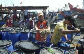 Pasar Ikan Muara Angke Bakal Terbesar se-Asia Tenggara
