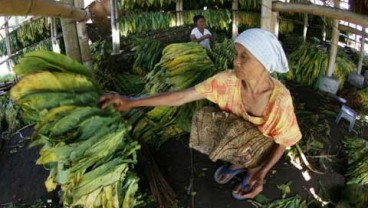 KOTA MALANG: Dana Bagi Hasil Cukai di Malang Minim Serapan