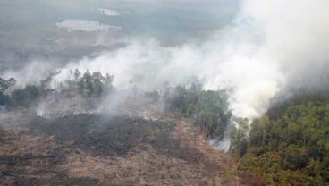 Teluk Meranti Kantongi Rp100 Juta Sebagai Desa Bebas Kebakaran