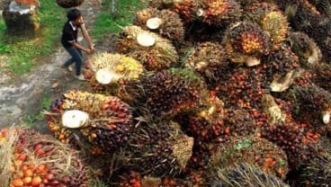 SAMPOERNA AGRO: Kuartal III, Laba Bersih Melesat 913%