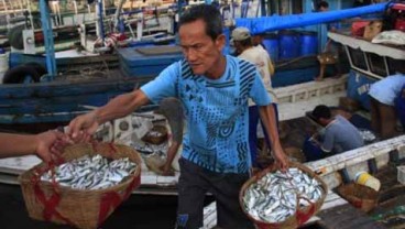 KABINET KERJA: Kabinet Rasa Ikan