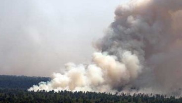 BANDARA SYAMSUDIN NOOR: Kabut Asap Selimuti Banjarmasih, 5 Penerbangan Ditunda