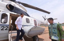 HARI PANGAN SEDUNIA 2014: Jokowi Datang, Tanaman Terinjak-Injak