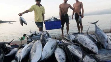 PERANGI ILEGAL FISHING: KKP Bicarakan Kerja Sama dengan AS