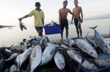 PERANGI ILEGAL FISHING: KKP Bicarakan Kerja Sama dengan AS