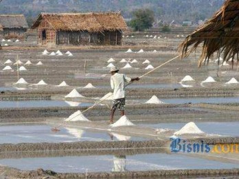 Pemerintah Diminta Prioritaskan Ekstensifikasi Lahan Garam