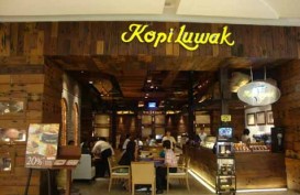 Bomer Pasaribu Bikin Kopi Luwak Indonesia Makin Dikenal di Baltik