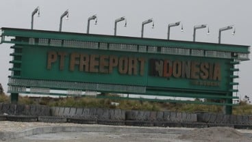 Freeport Indonesia Diminta Bangun Pabrik Semen di Papua