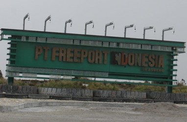 Freeport Indonesia Diminta Bangun Pabrik Semen di Papua