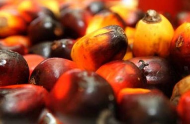 SIDANG RSPO KE-12: Kajian Perbedaan Sertifikasi RSPO & ISPO Terbit Akhir 2014