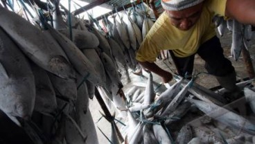 Pemerintah Berupaya Benahi Perekrutan Buruh Migran Kelautan