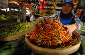 HARGA CABAI RAWIT di Gorontalo Tembus Rp100.000/Kg