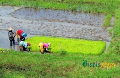 INFRASTRUKTUR IRIGASI: 5 Proyek Bendungan Senilai Rp5,59 Triliun Dibangun Tahun Depan