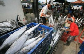 Dampak Kenaikan BBM: Eksportir Perikanan Jateng Naikkan Harga 5%