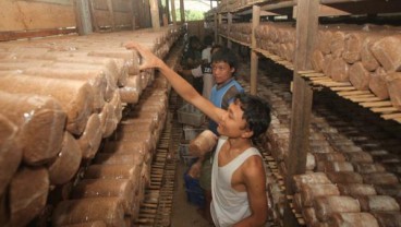 Kemenkop UKM Gelar Expo Pembiayaan 2014, Catat Tanggalnya