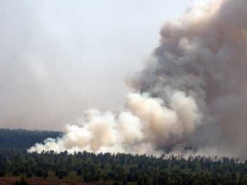 MORATORIUM KEHUTANAN Tak Mampu Cegah Kebakaran Hutan dan Lahan