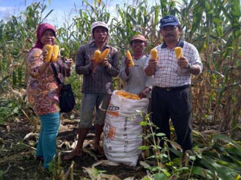 Kemitraan Dorong Kinerja Inhutani V